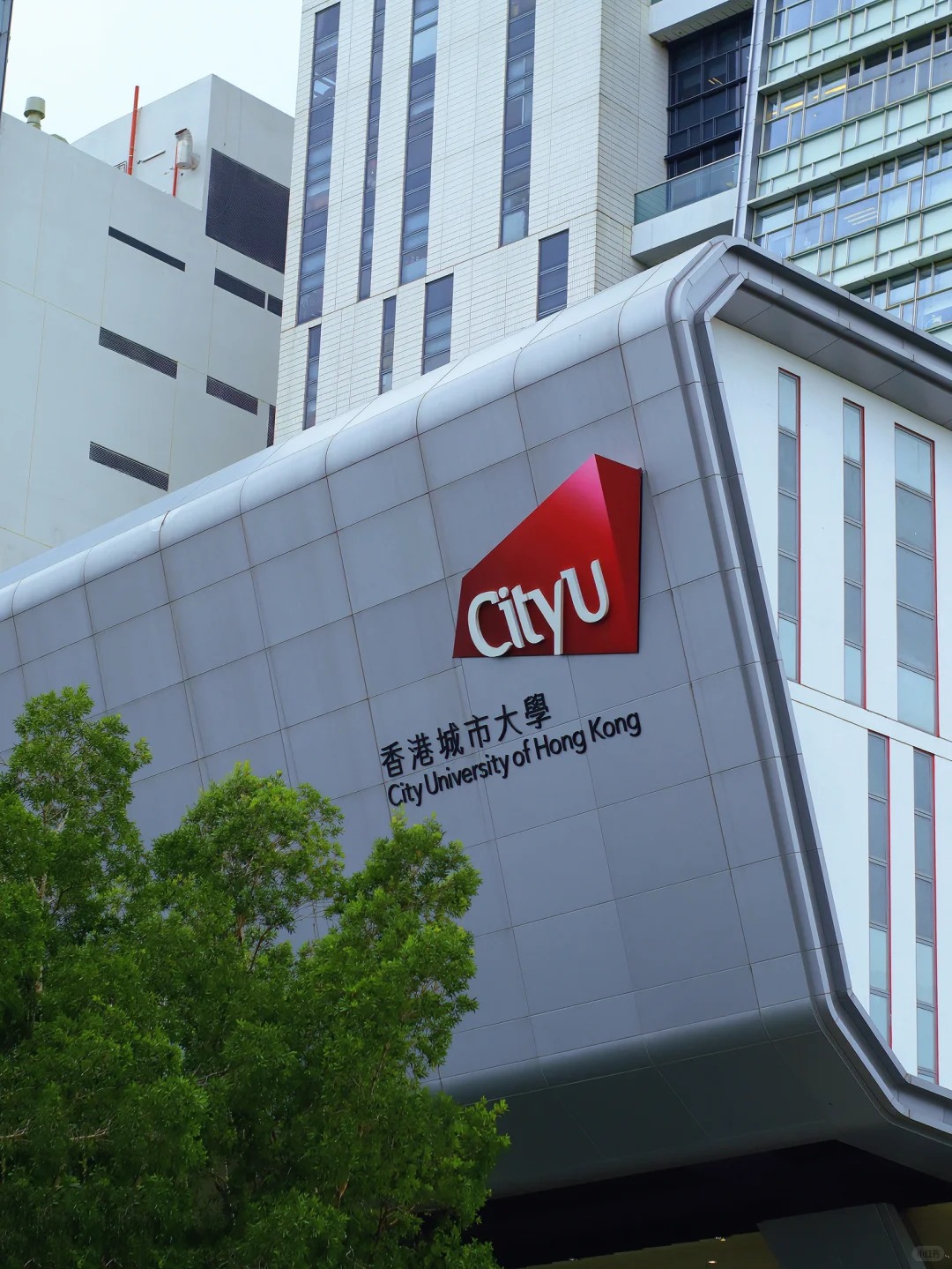 2026年!这些高校启动招生